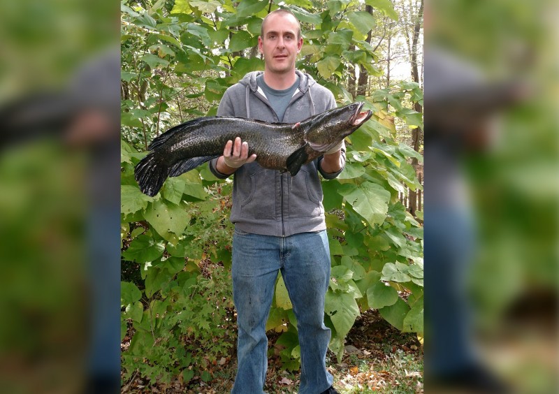 Michael Meade with his new state record snakehead. Image courtesy Maryland Department of Natural Resources.