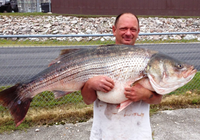 Lawrence Dillman holds up a fish big enough to wrestle with. Image courtesy Missouri Department of Conservation.