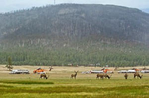 AES help Landowners of the Wallow Fire