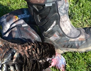 The BOA knee boot is a perfect dual-purpose turkey hunting boot.