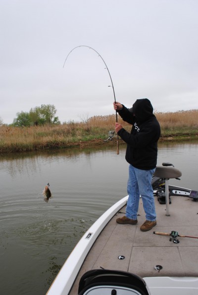 Bill Horton hauls in a largemouth from a Saginaw Bay canal.