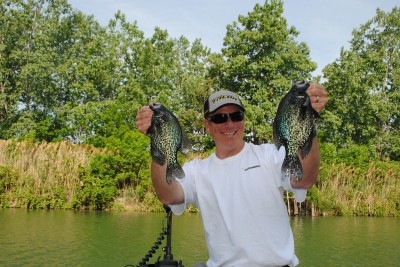 Crappies, like these, are underappreciated on Lake St. Clair.