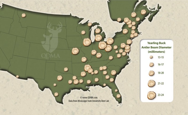 Researchers complied this map using 74 data points gathered from state wildlife agencies. 