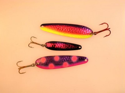 Walleyes eat up spoons with pink, purple, and/or chartreuse on Lake Erie and Saginaw Bay.