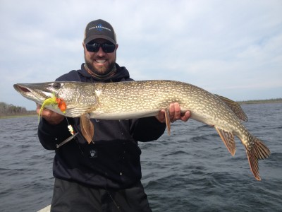 Big pike are the norm on Lake Athabasca.