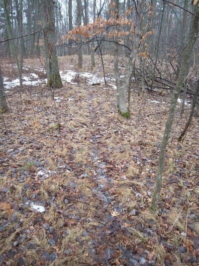Early spring is a great time to get out and look over a small property, analyzing every inch of it. You can find the beds, the trails, and all kinds of clues about the deer on the property. 