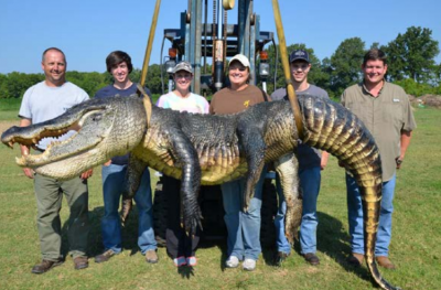 Beth Trammell (third from left) and her hunting party present their gator, which briefly held the state record.