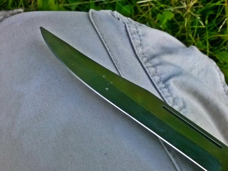 A close-up of the blade with morning dew still visible.