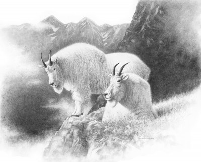 Dunn set off after two Rocky Mountain goats on a clear and cold November morning. Illustration by Dallen Lambson.