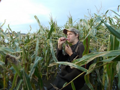 Brandon Bakos calls from standing corn in the Shiawassee River State Game Area.