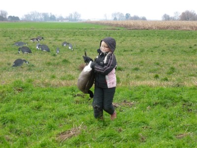 Ten-year-old Andrea Essenburg retrieves a goose her dad downed in a field at the Fennville Farm Managed Hunt Unit.