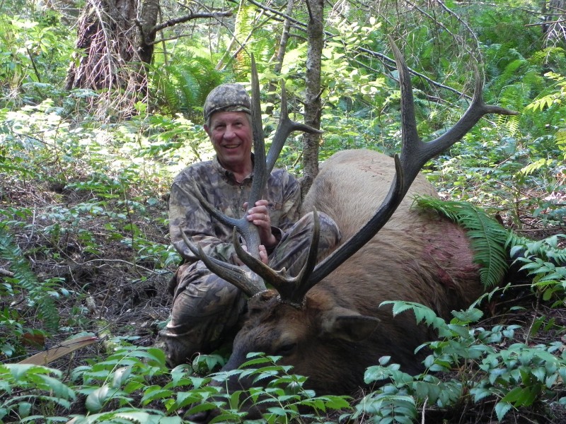 On the final day of Dunn's Roosevelt elk hunt, everything truly came up sixes. Image courtesy Dennis Dunn.
