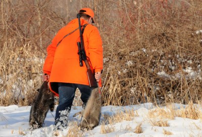 Craig Polensky of Watertown walks from the woods after a successful raccoon hunt in late December.