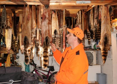 Craig Polensky of Watertown examines raccoon pelts drying inside his garage.
