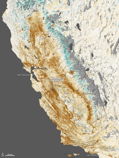 This vegetation map shows the effect of drought on the state's forests and wild lands. Image courtesy Jesse Allen/NASA.
