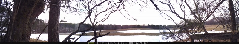 The only deer I managed to get to walk past the camera (visible on the left side of the central image) during initial testing was a ways out, and yet the Moultrie still snapped its picture. This little guy was pushing that 70 foot range for sure! Click to enlarge this image.