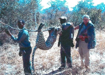 Larry Bucher with the leopard that mauled him. Image courtesy Larry Bucher.