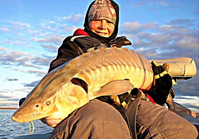 Dylan Hahn (10) from Thief River Falls, Minnesota caught a number of sturgeon on his first outing. This one was 50 inches, and his very first one of the day was a tagged 41-inch fish.