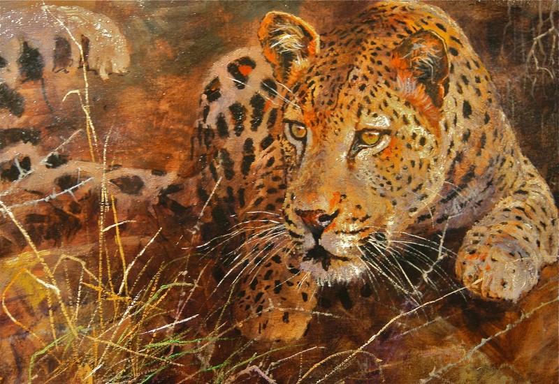Dallas Safari Club life-member Larry Bucher's mauling by a wounded leopard is a testament to the reality of the danger that lures many to the Dark Continent—and the profound and unintended effects experiences in the outdoors can have on individuals. Artwork by Kobus Moller.