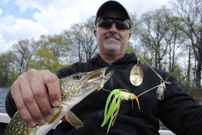 A large spinnerbait fooled this Barry County pike.