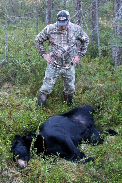 The author shot this 375-pound bear with an expandable broadhead but did not get a pass-through. It was a long tracking job.