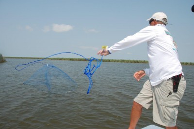Cast nets can be used to catch baitfish right on fishing grounds, and are used in fresh and saltwater by live bait anglers who want the freshest bait possible. 