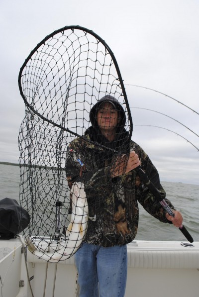Stacy Jarson nets a Saginaw Bay walleye.