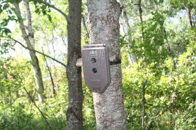 Game cameras are an important part of scouting. Hunting the weekends allows you to obtain more information by using cameras before you arrive to hunt.