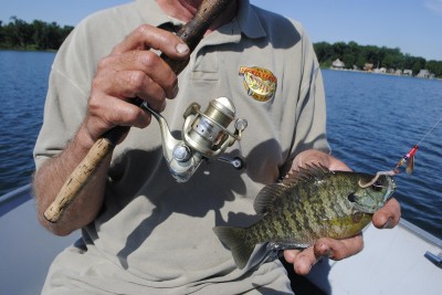 A small worm harness with a red worm is deadly on open-water bluegills.