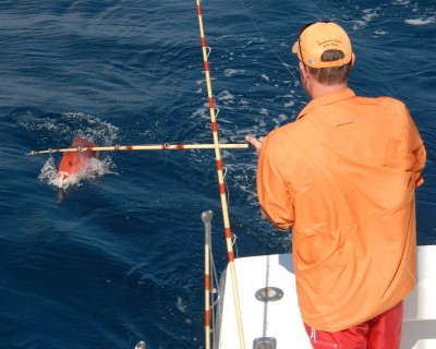 You can find plenty of big fish when you go offshore on a party boat fishing trip.