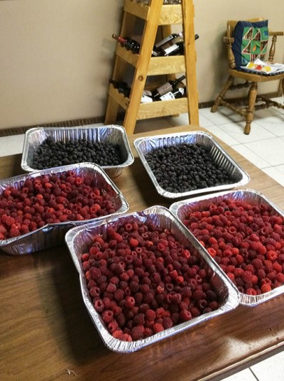 Five full tins of red and black raspberries will make anyone feel rich.