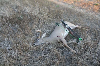 The author shot this nice buck on the third day of the season in 2012. 