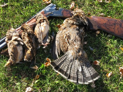Many Michigan woodcock hunters end up with a mixed bag of doodles and grouse, making for an excellent wild game dinner.