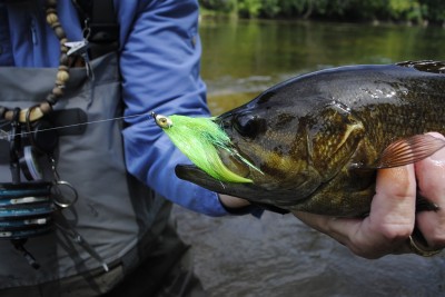 Streamers, like this sparkle minnow, are the ticket for Flint River smallies.