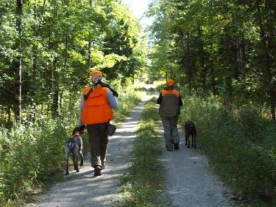 Michigan has more than 8 million acres of public hunting land. Image by Sharon Starr.
