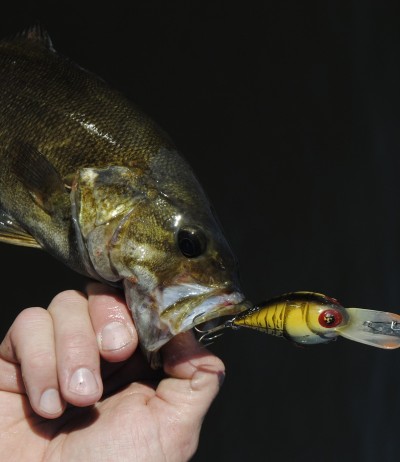 Crankbaits produce well when the water's high on the Kalamazoo River