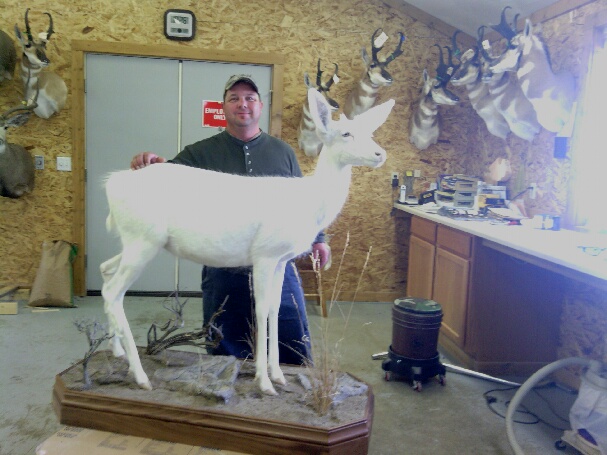 Jeff Foster with his albino mule deer buck. Have you seen one like it?