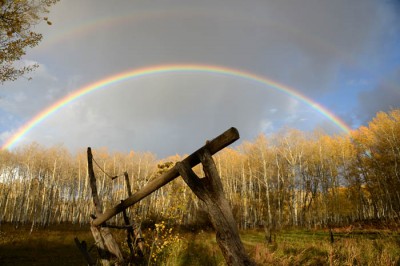 A twin rainbow frames gold-leafed aspens on a Colorado mountaintop.