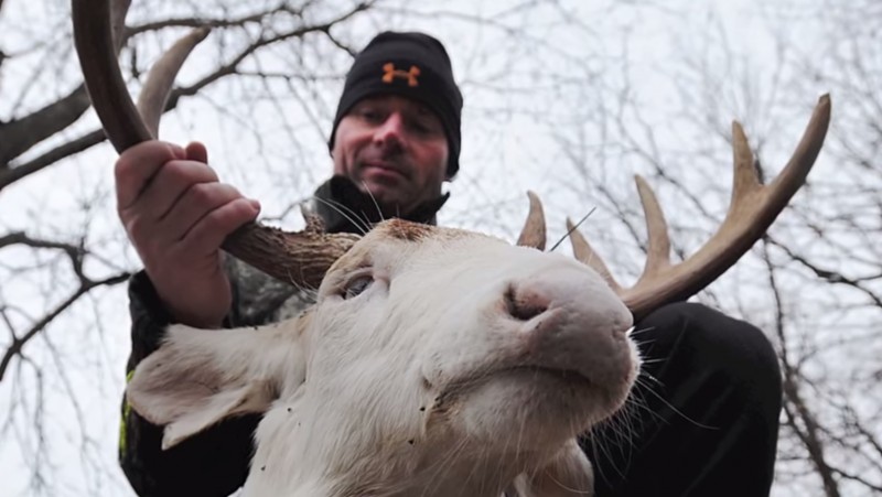 Bowhunter Jerry Kinnaman displays his albino buck, which was taken on his property this week.  Image screenshot of video by semissourian on YouTube