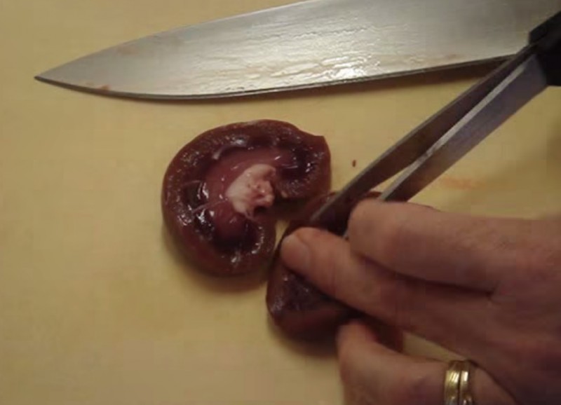 Deer kidneys will resemble calf's kidneys. Image screenshot video on YouTube by Titlis Busy Kitchen. 