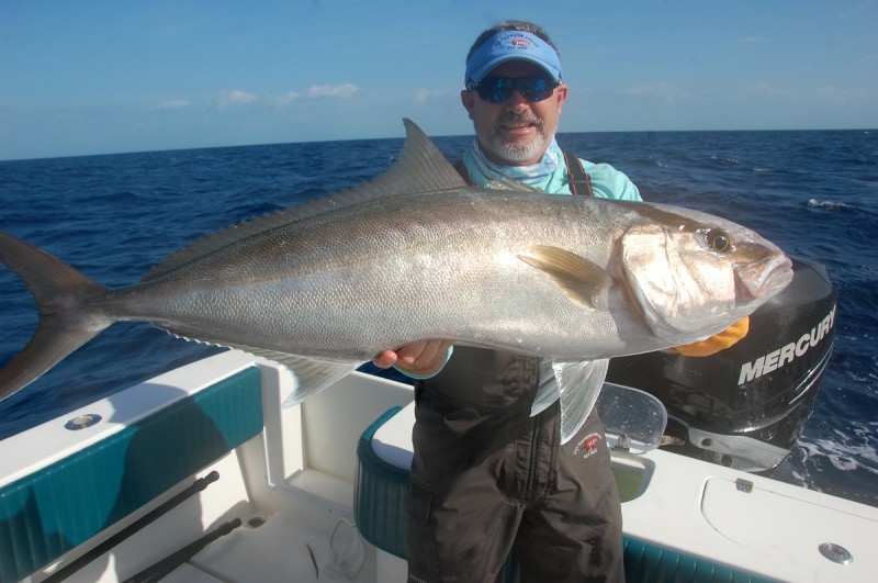 Amberjack on light tackle make for as much rod-and-reel challenge as anyone could want.