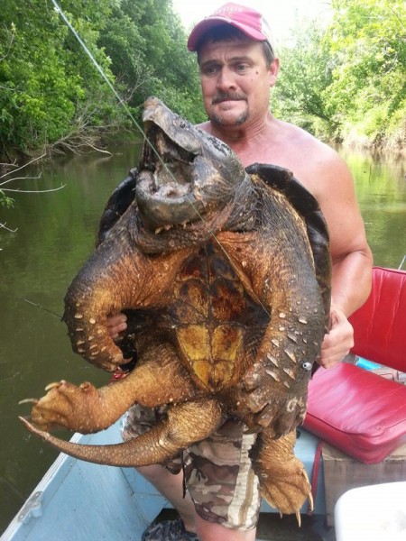 Dave Harrell took this picture of Audrey Clark holding their 100-pound Oklahoma alligator snapping turtle.