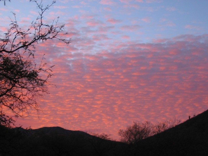 Every Sonoran sunset is different; all are beautiful. Image courtesy Dennis Dunn.