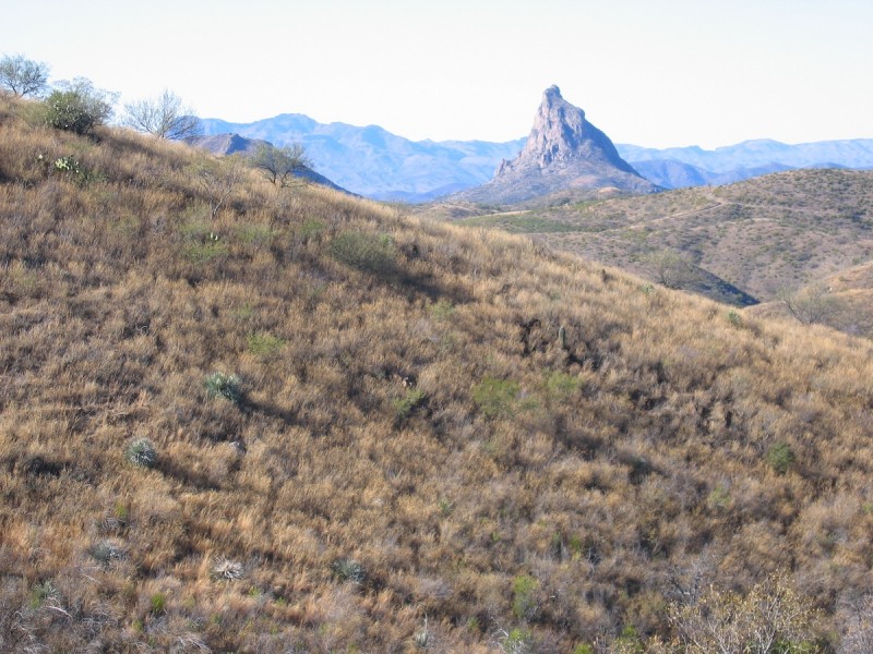 The land of the Chairababi Ranch is perfect Coues' and cougar country. Image courtesy Dennis Dunn.