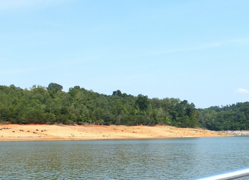 Boone Lake's new shoreline is far from the old shoreline, but the fish are still there. 