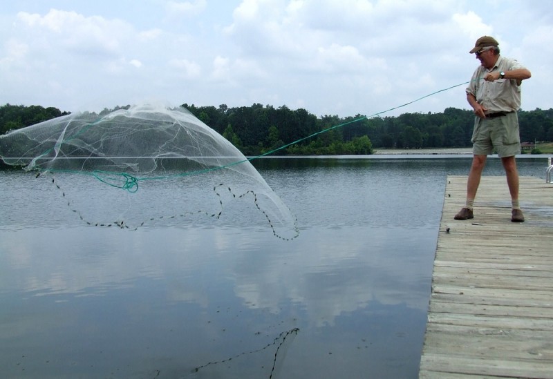 In order to catch big stripers at Boone Lake, you must be able to throw a cast net or you may need a guide to provide you with big gizzard shad.