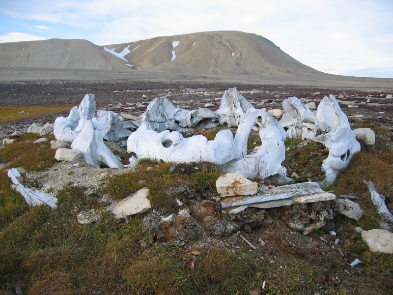 The ancient Inuit summer hunting encampment site.