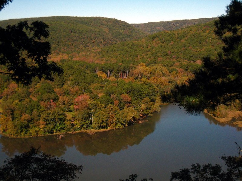 Shores Lake in the Ozark National Forest. Image by Marco Becerra in the Wikimedia Commons.