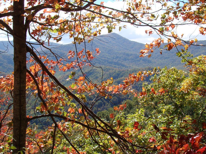 Great Smoky Mountains National Park. Image by USchick on the Wikimedia Commons.