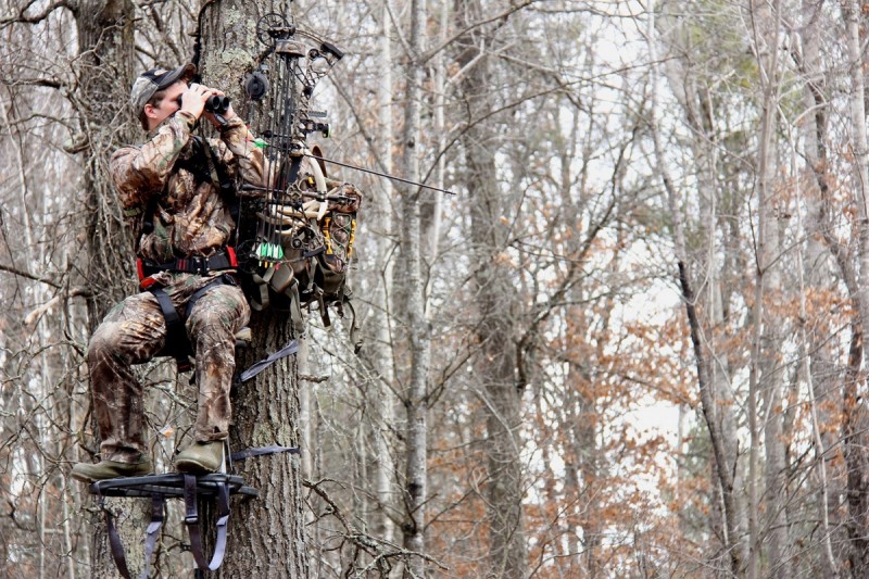 The more times you hunt a stand, the less likely you are to see a buck from that stand.